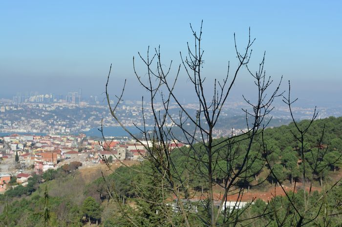 Retain the title of Augusta