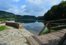 Unusual Deliveries Before the Ceremony